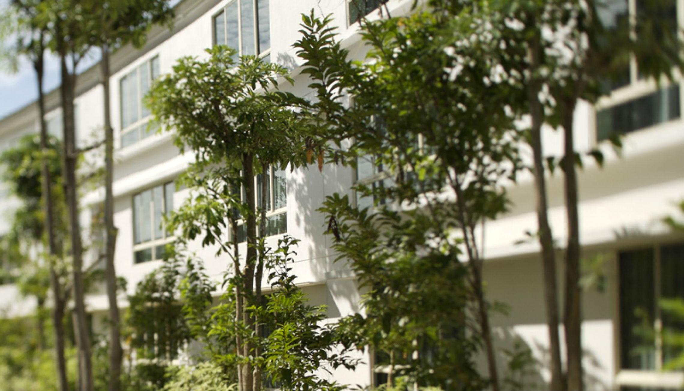 Amara Sanctuary Sentosa Tempat peranginan 5*